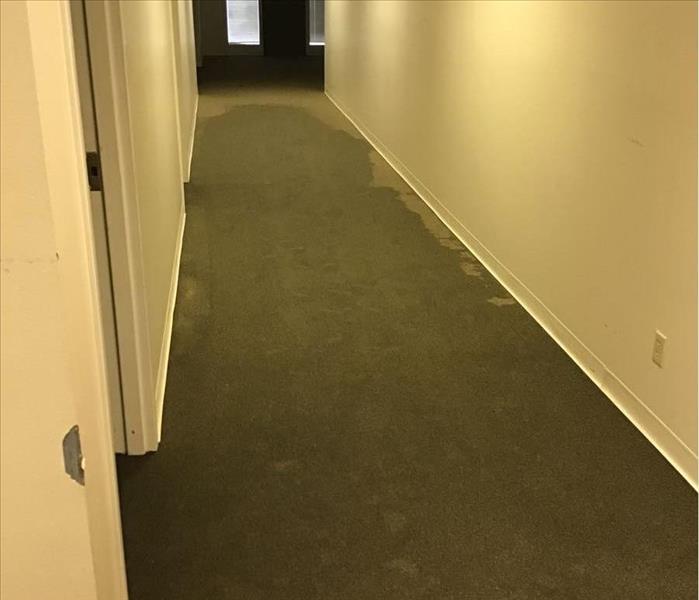 Hallway with carpet - can see wetness