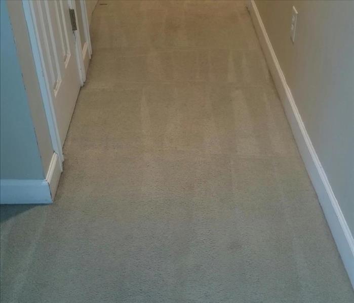 Hallway of carpet very clean looking