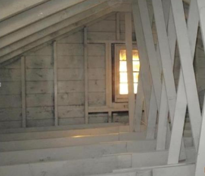 Rafters in an attic painted with a white sealant