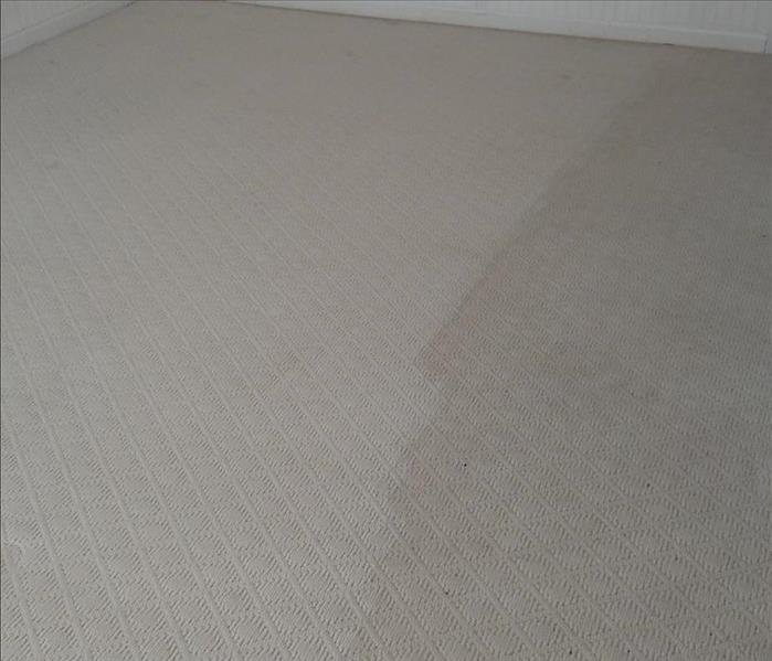 Carpeted floor with 1/2 being cleaned and 1/2 being dirty