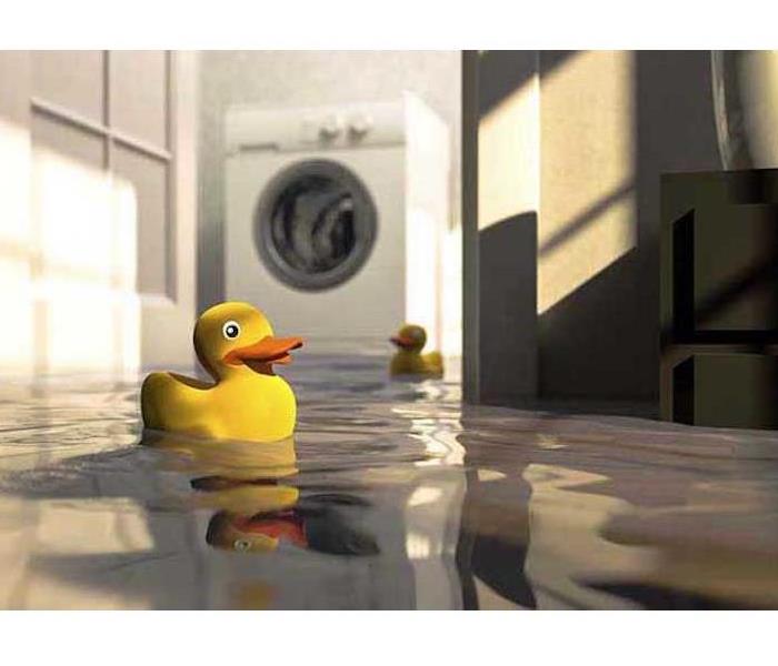 Washing machine in water and a toy rubber duckie floating