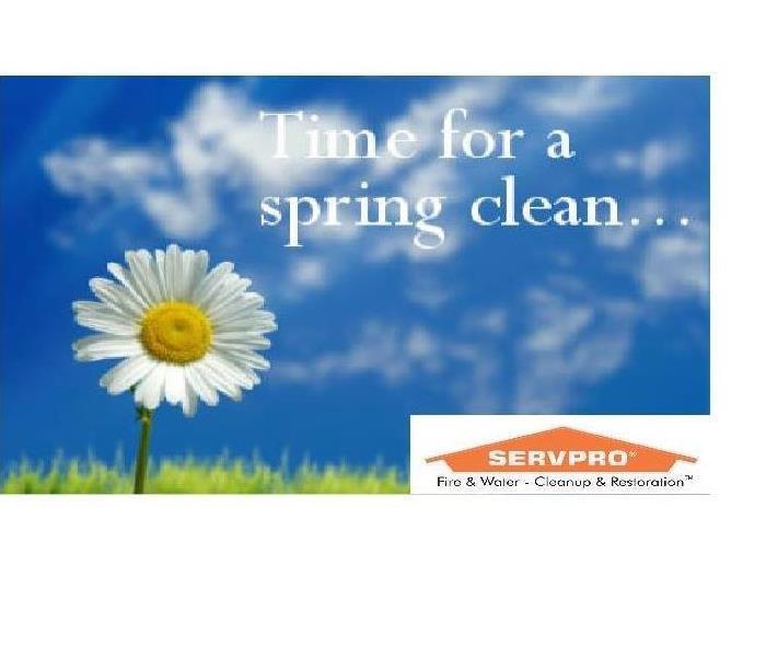 Daisies in a field with SERVPRO logo